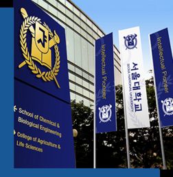 韩国留学,成都韩国留学,韩国留学中介 华樱出国 一站式国际教育与出国服务平台