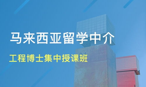 成都高新区出国留学培训班哪家好 出国留学培训班哪家好 出国留学培训课程排名 淘学培训